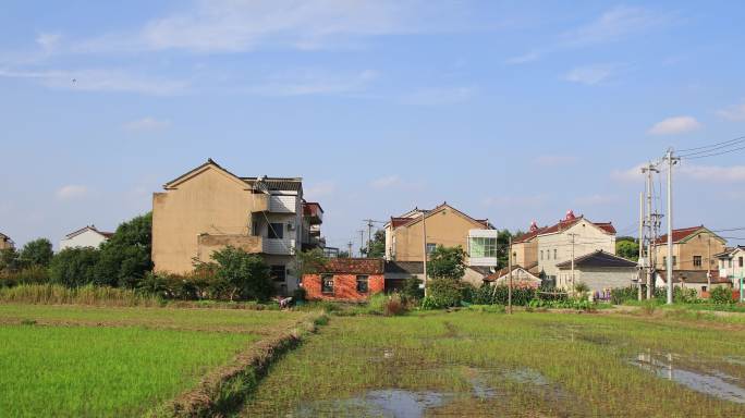 公路田园风光