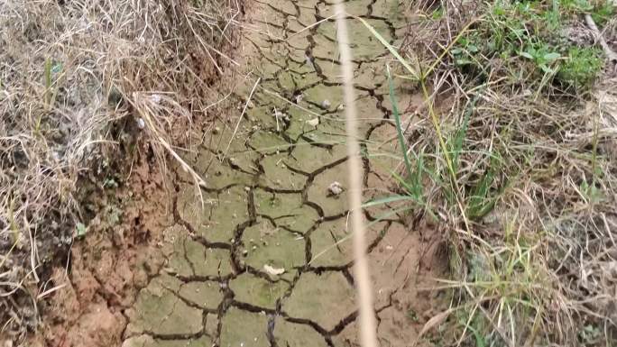 排水沟干旱枯干裂缝的水利排水设施稻田排灌