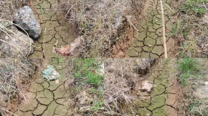 排水沟干旱枯干裂缝的水利排水设施稻田排灌