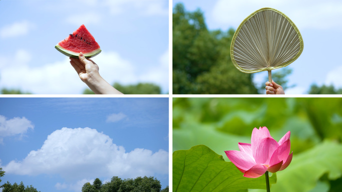 夏天小清新立夏小暑炎热荷花稻田夏天空镜头