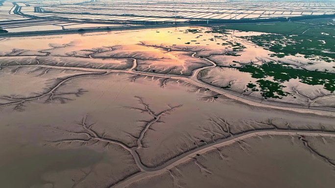 盐城黄海海边湿地和风电