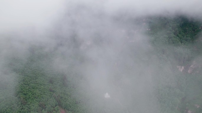 森林云雾航拍