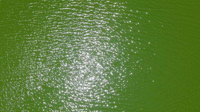 碧绿的水面光影碧流河水
