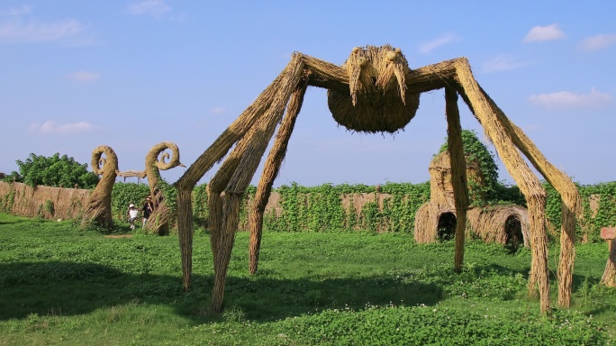 稻梦空间 巨型蜘蛛