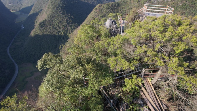 贵州茂兰自然风光森林航拍4K