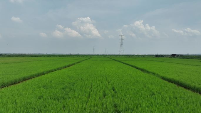 春耕拖拉机在田野里耕地