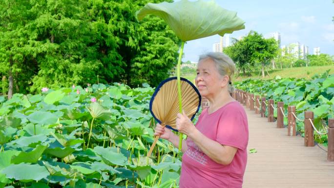 老奶奶夏天池塘边乘凉