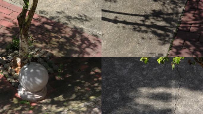 夏日清风阳光树影