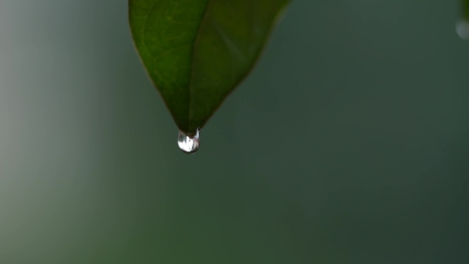 一滴水滴落下希望的开始