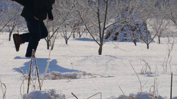 满山的雪