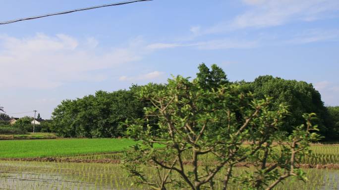 溧阳一号公路田园风光