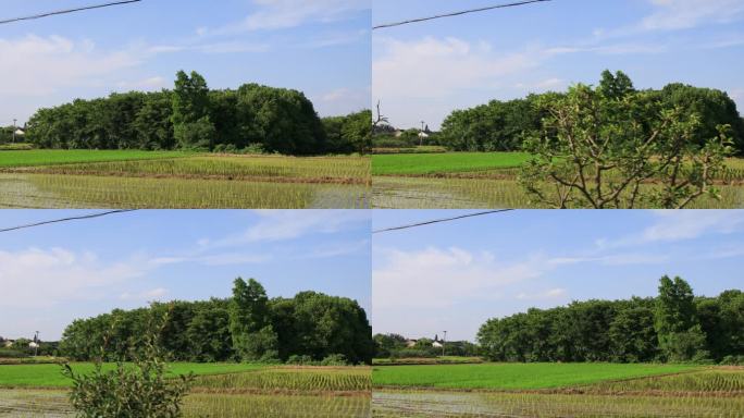 溧阳一号公路田园风光