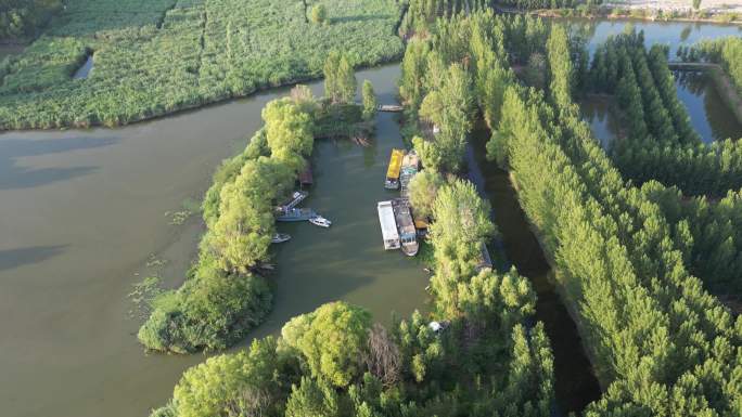 滕州微山湖红荷湿地