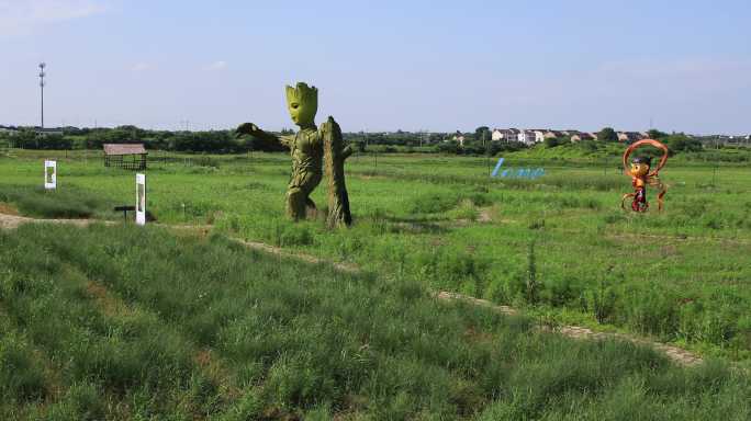 稻梦空间 稻草艺术