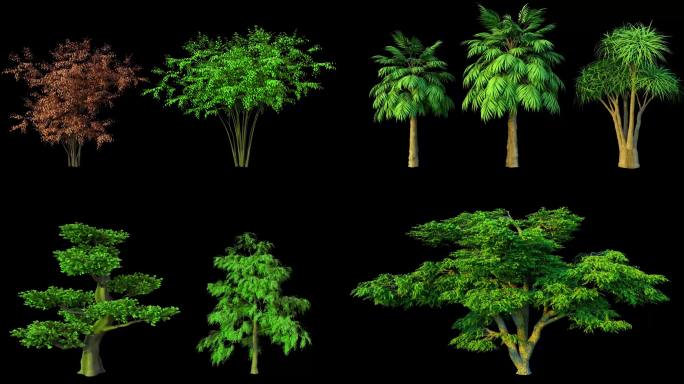 多种树生长
