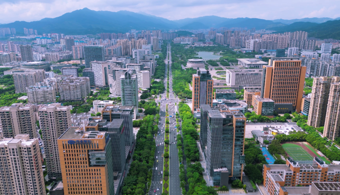 龙岩大道 CBD 商务板块