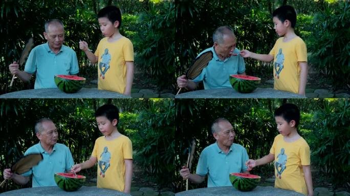 炎热夏天树下乘凉 老爷爷和孙子一起吃西瓜