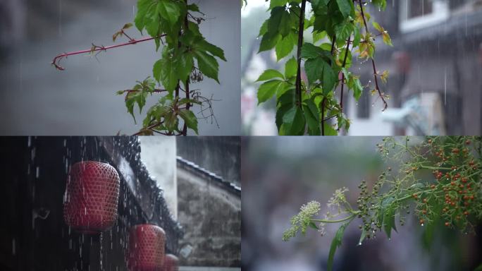 4K江南水乡古镇雨景