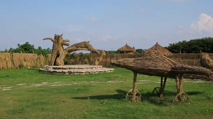 稻梦空间 飞机模型