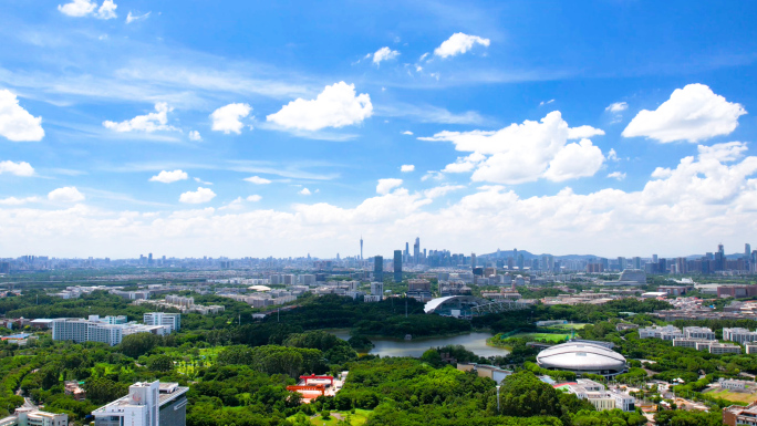 广州番禺区大学城延时合集4K