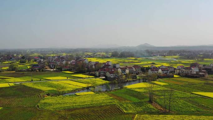 美丽乡村油菜花航拍 和美乡村