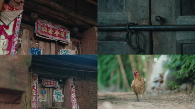 慢镜头乡村微生物微景观老物件