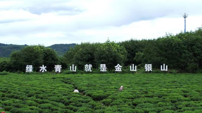 绿水青山就是金山银山