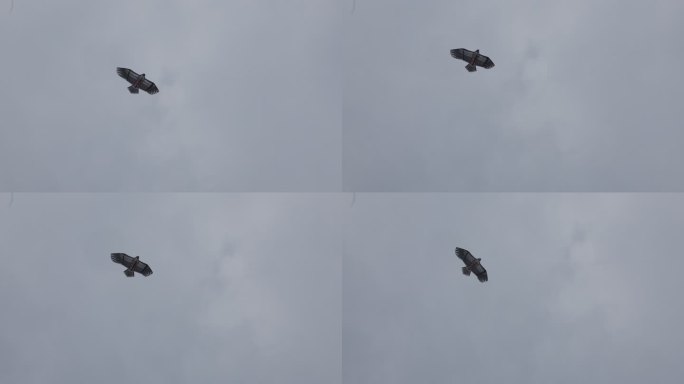 风筝在天上飞15