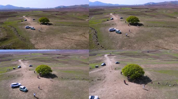 辽宁省辽阳市大疆无人机航拍百年杏树