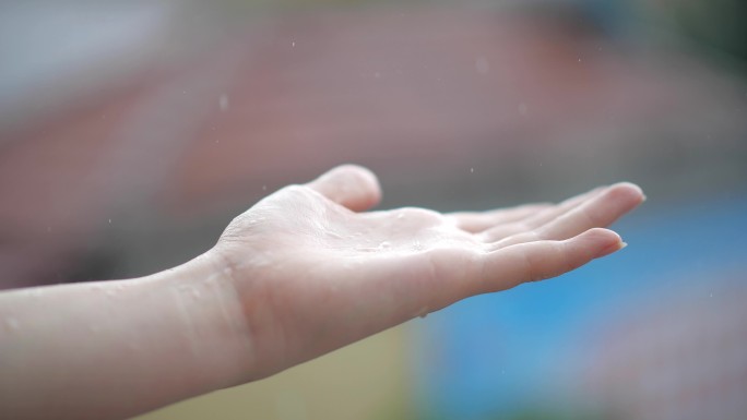 4K下雨天 雨滴落下 蜗牛