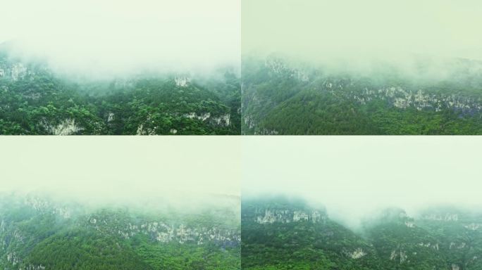 南山烟雨