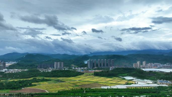 台风“泰利”前奏#增城延时