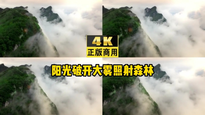 山顶云层翻山环绕阳光破开大雾照射森林