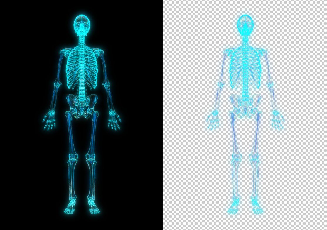 人类骨骼全息影像（带透明通道）