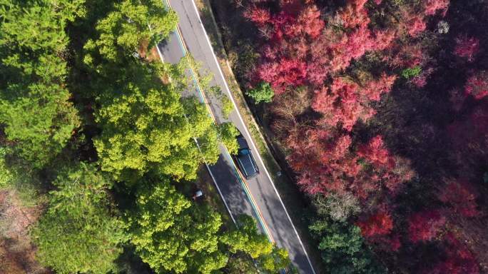 奔驰车山路湖景航拍