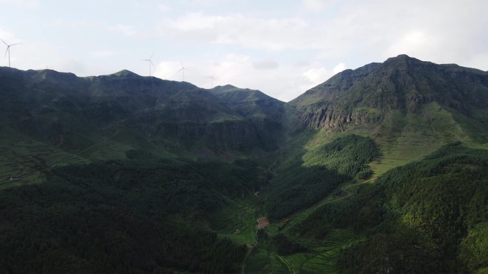 贵州大山乌蒙大草原