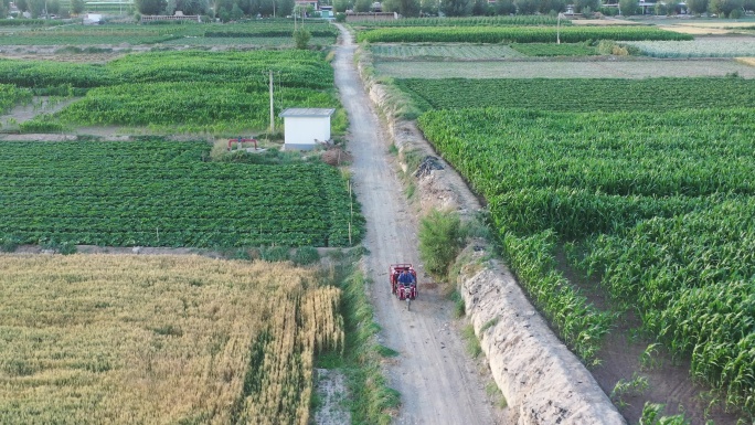 农民驾驶三轮车走在田间小道上