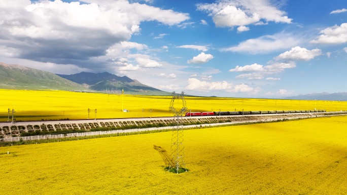 开往春天的列车