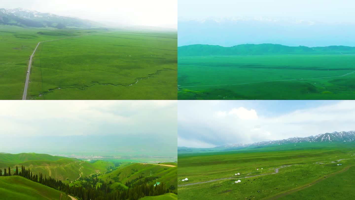 4K航拍新疆满屏那拉提绿色草原美景