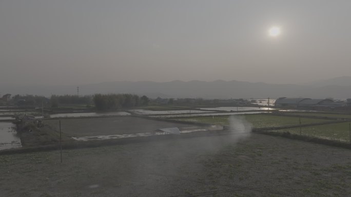 农田 夕阳 水田 水稻  航拍