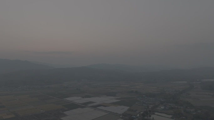 农田 夕阳 水田 水稻  航拍