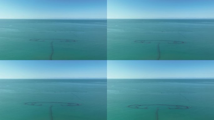 绿色透明的大海航拍