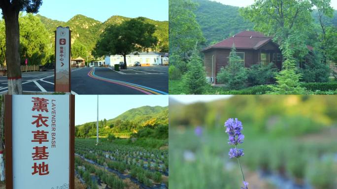 指示标 指示牌 停车场 售票处 民宿