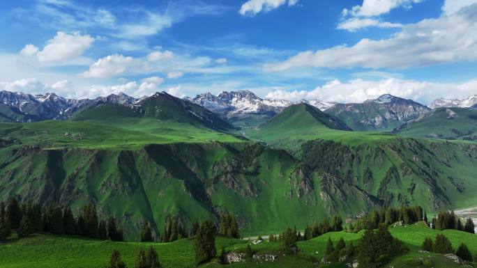 新疆伊犁州唐布拉百里画廊雪山草原风光