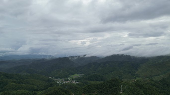 暴雨将至