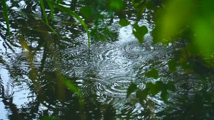 湖面水面雨滴滴入水起波纹涟漪