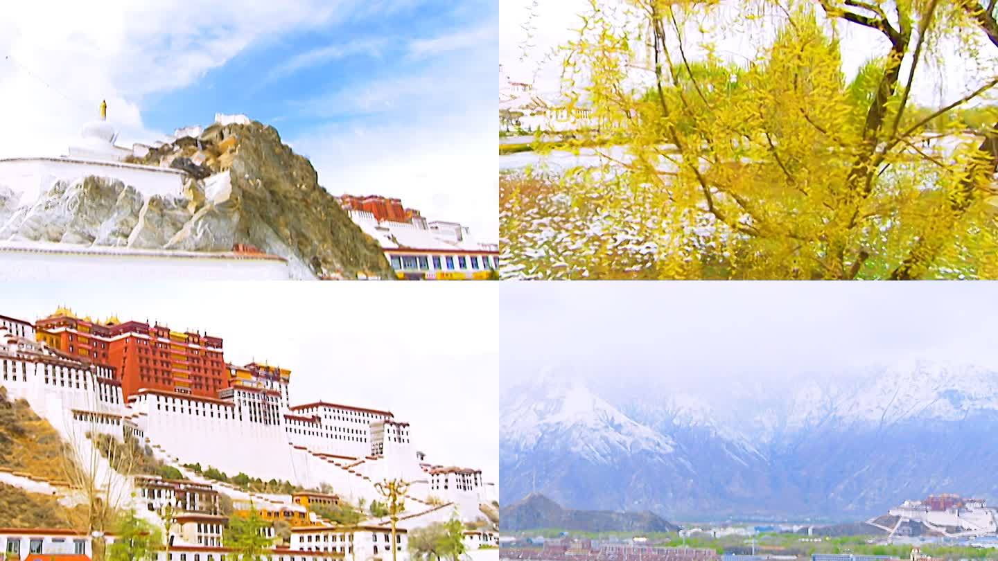 西藏 下雪 高原