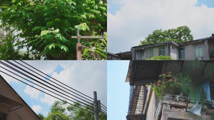 夏天 闷热 中午 老城区 空镜