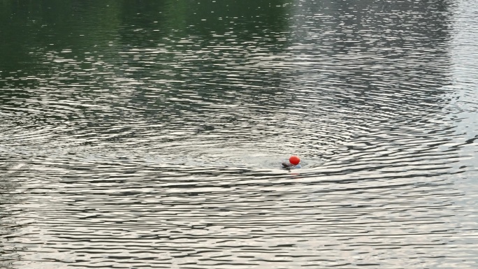 夏天暑假一个人在河里江水里游泳实拍素材