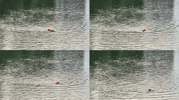 夏天暑假一个人在河里江水里游泳实拍素材